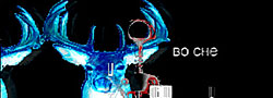 Dokument_Project
