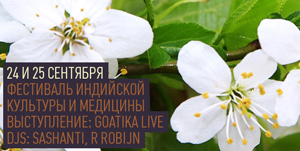 Фестиваль индийской культуры и медицины в Shanti