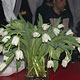 Privilege club (Ibiza) Party в клубе Сердце