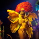 Концерт Shpongle
