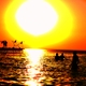 Kazantip 2008