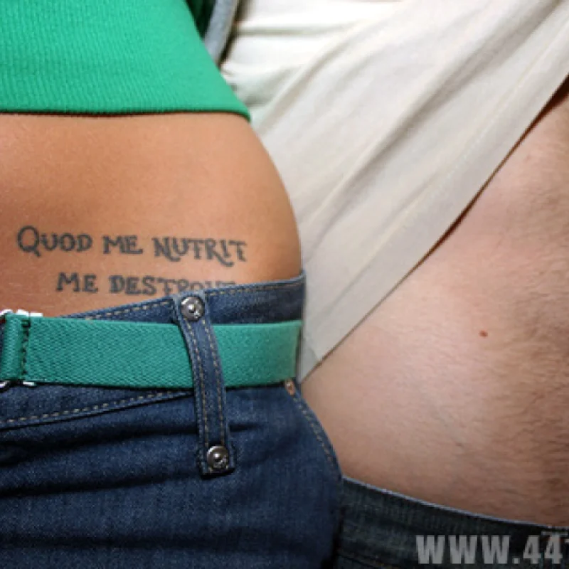 Quod Me Nutrit Me Destroit