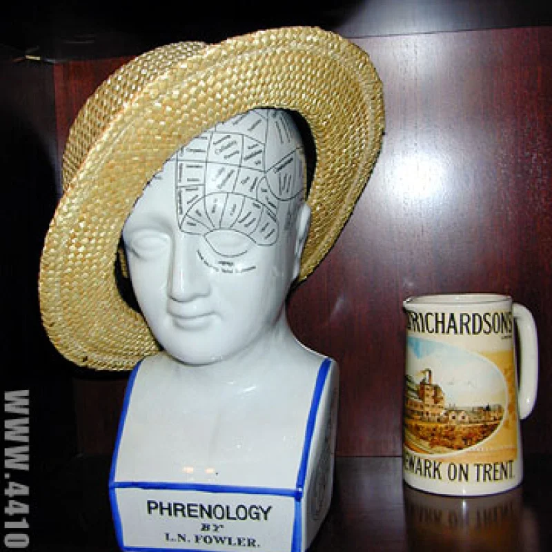 Флегматичная голова