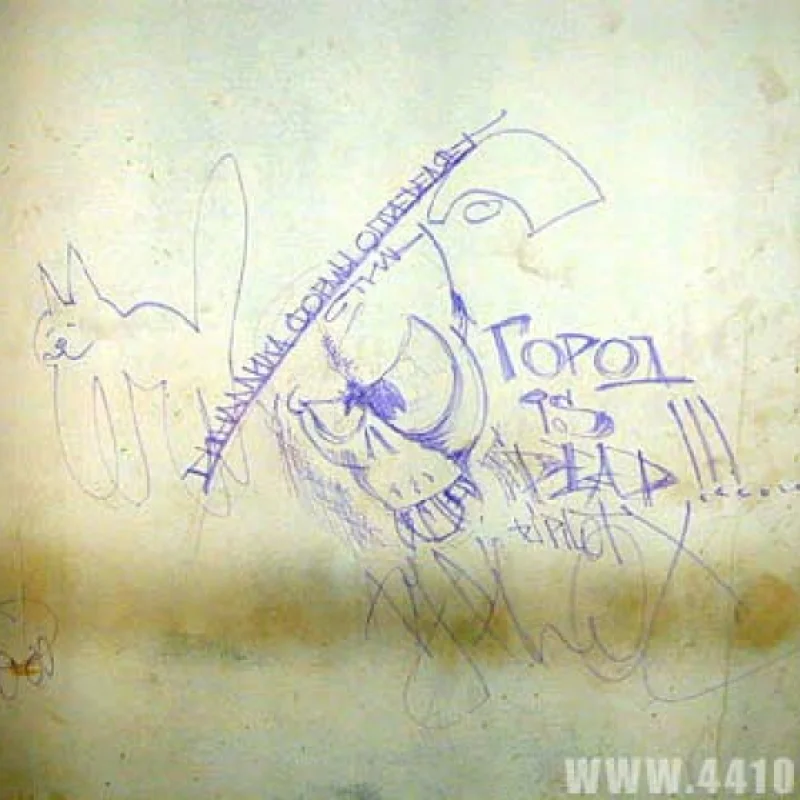 Творение Пионера