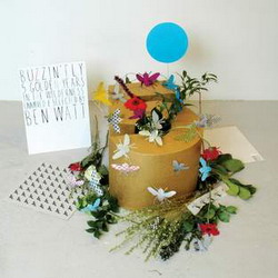Five Years with Buzzin' Fly!