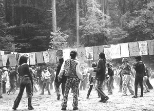 Raves. Antisocial Behavior