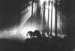 The only concert of Troum and Cisfinitum
