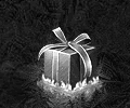 New Year Gifts!