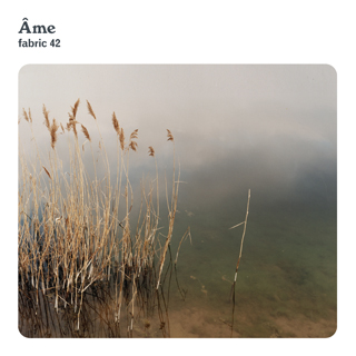 Ame to Record Fabric 42