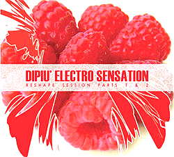 Electro House in All Its Glory