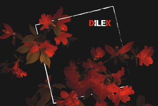 Second Album of Nooncat on Dilek Records