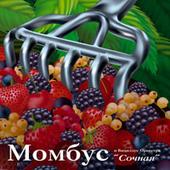 Mombus выступит на фестивале Sonar