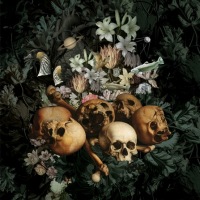Premiere of Mujuice's Album 'Downshifting'