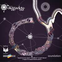Новый альбом Diggadgy - Soundation