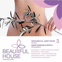 Beautiful House 3